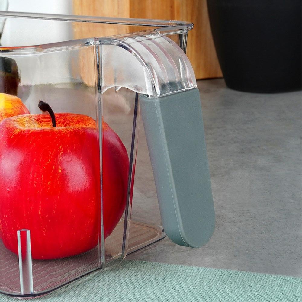 Fridge organizer with handle 30x13x11.5 cm