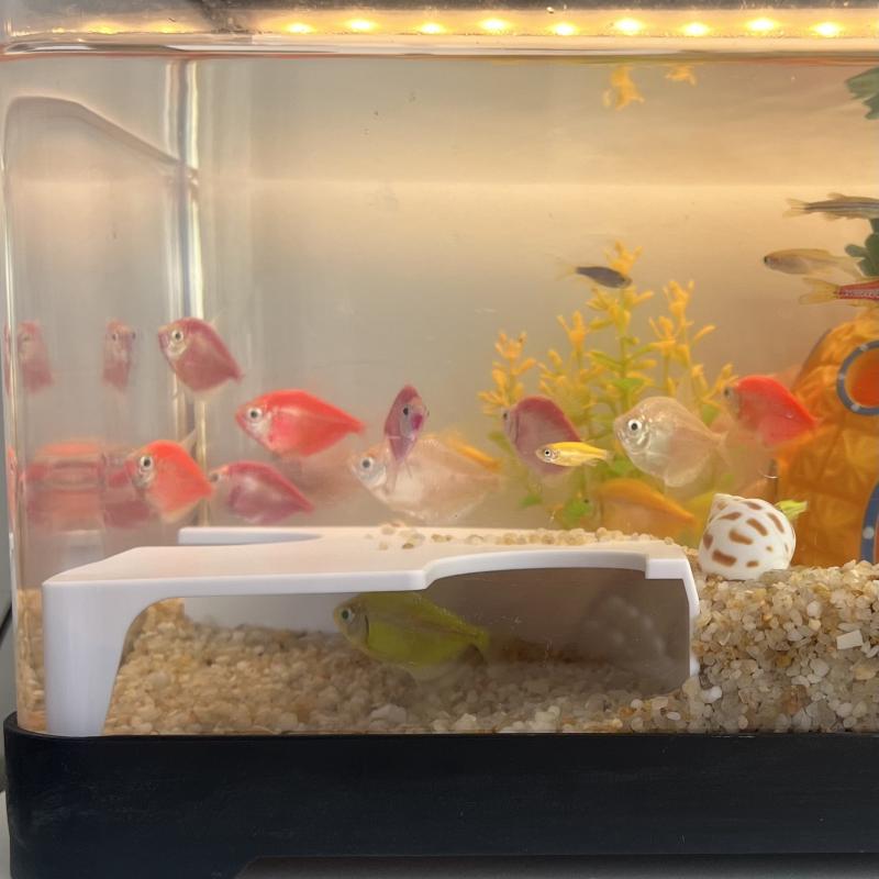 Abs Aquarium Cave Corner Tunnel Widened Non-Slip Bottom Stepped Aquarium Tunnel Aquatic Decorations Accessories