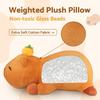 5 lbs Capybara Weighted Stuffed Animals, 24 Inch Large Cute Plush Toy, Plush Toy Pillows for Kids & Adults