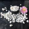 200/400g White High Polished Pebble 2-3cm Size Landscape Materials Natural Decoration Rocks  Garden Bonsai Fish Tank Pebbles ZYF