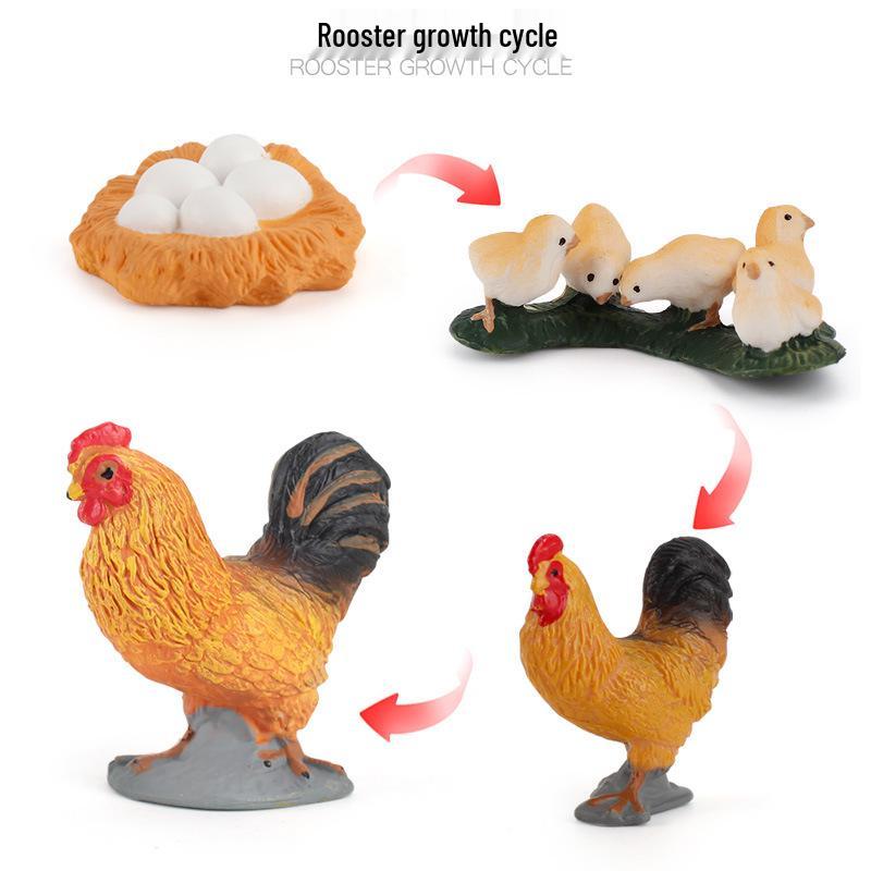 Miniature Farm Animal Models: Chickens, Ducks, Geese, and Cows