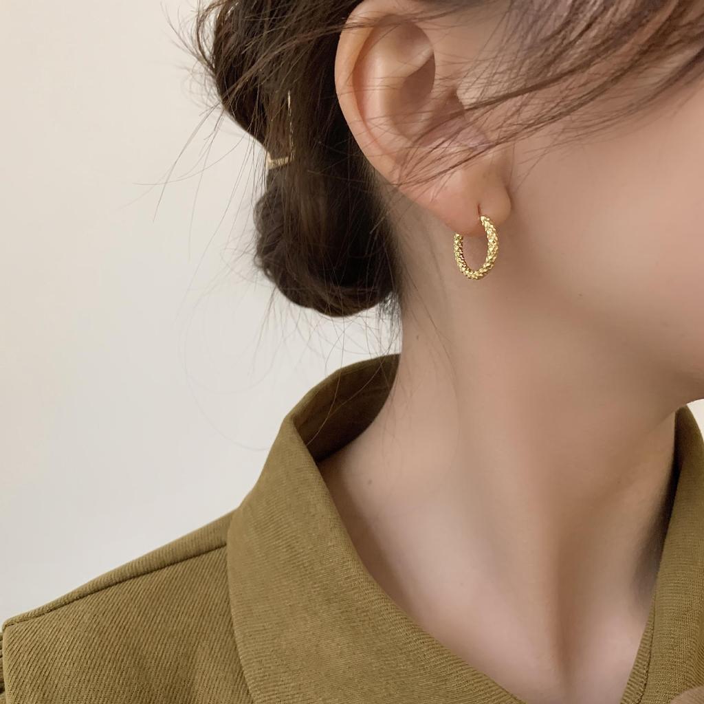 Simple Geometric Frosted Earrings Female Cold Wind Temperament Earring Buckle Niche Hundred with Earrings Affordable Dainty Earrings Daily Wear