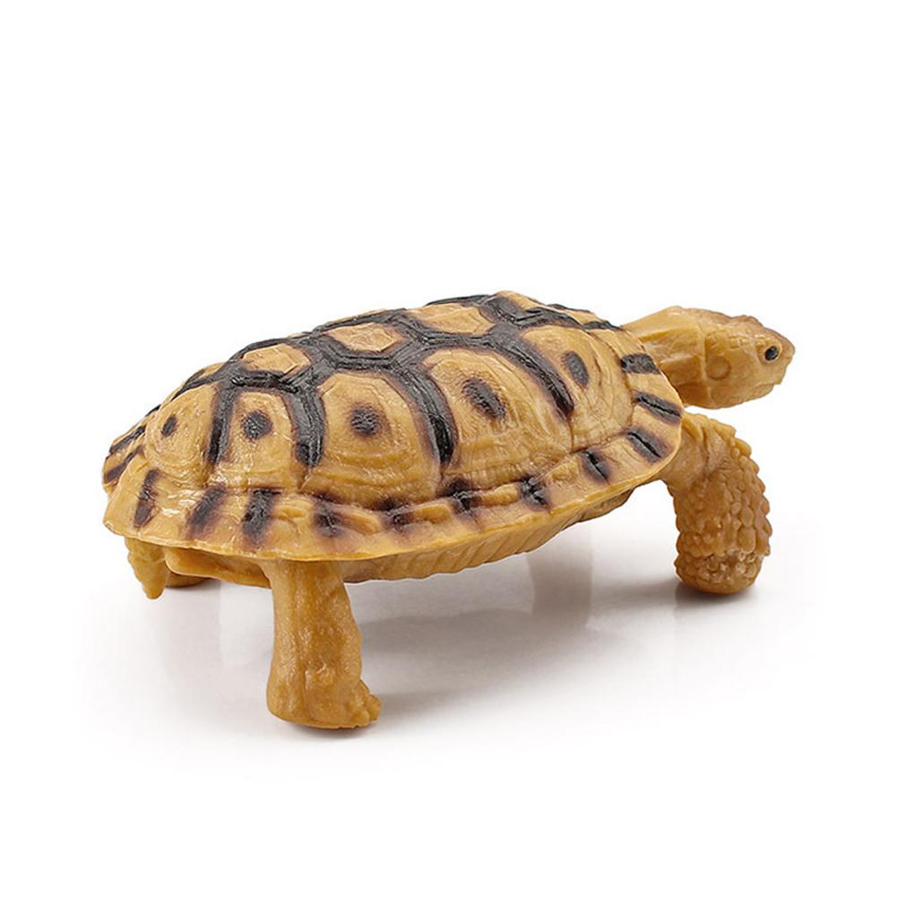 Realistic Turtle Action Figure Lifelike Amphibian Reptile Model Ornaments For Children Gifts Home Decoration