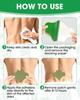 HOOPOES Back Pain Relief Patches | Fast Acting Herbal Patch for Lower & Upper Back Pain, Muscle Strain & Sciatica Support | Hot & Cold Therapy |