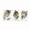 Cute Cat Wall Sticker For Living Room Bedroom Cupboard Toilet Decoration