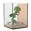 Glass Aquarium Mini Compact Ingenious Safe Low Noise Free Water Change Fish Tank Kit for Tabletop