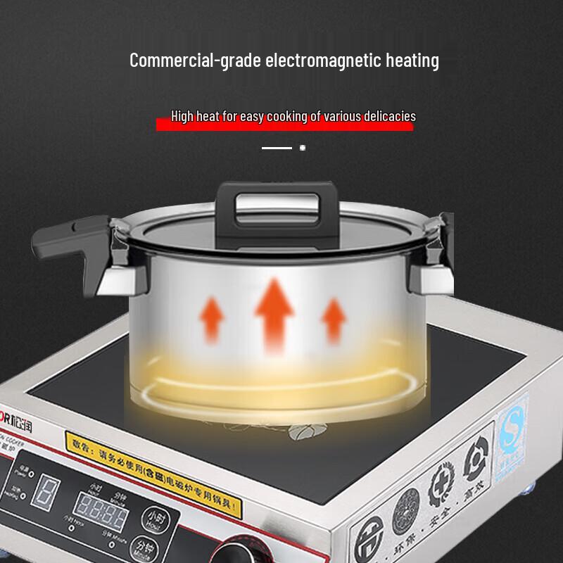 Commercial Induction Cooker