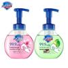 Safeguard Foaming Hand Soap Set