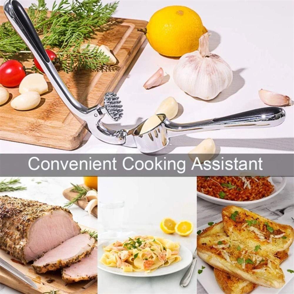 Manual Kitchen Garlic Press Ergonomic Handle Ginger Crusher Chopper  Vegetable Cooking Extruder