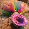 Pet Bearded Dragon Cosplay Tutu Skirt+ Hat Stylish Costume Accessories Dress Up Pet Halloween Holiday Accessories