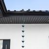Catena per la pioggia in metallo Fiori vintage Raccoglitori di pioggia per grondaie esterne Grondaie Drenaggio sottotetti Resistente alla ruggine Decorazioni da giardino
