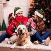 Cross-Border eBay Christmas Hat: Red/Green & Red/White Splicing, Long Plush, Holiday Decoration Accessory