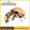 Hermit Crab Figurine Sea Life Animals Model Figure Educational Toy Boys Girls Kids Ages 18M for and Kid Friendly Entertaining Fun Play Safe