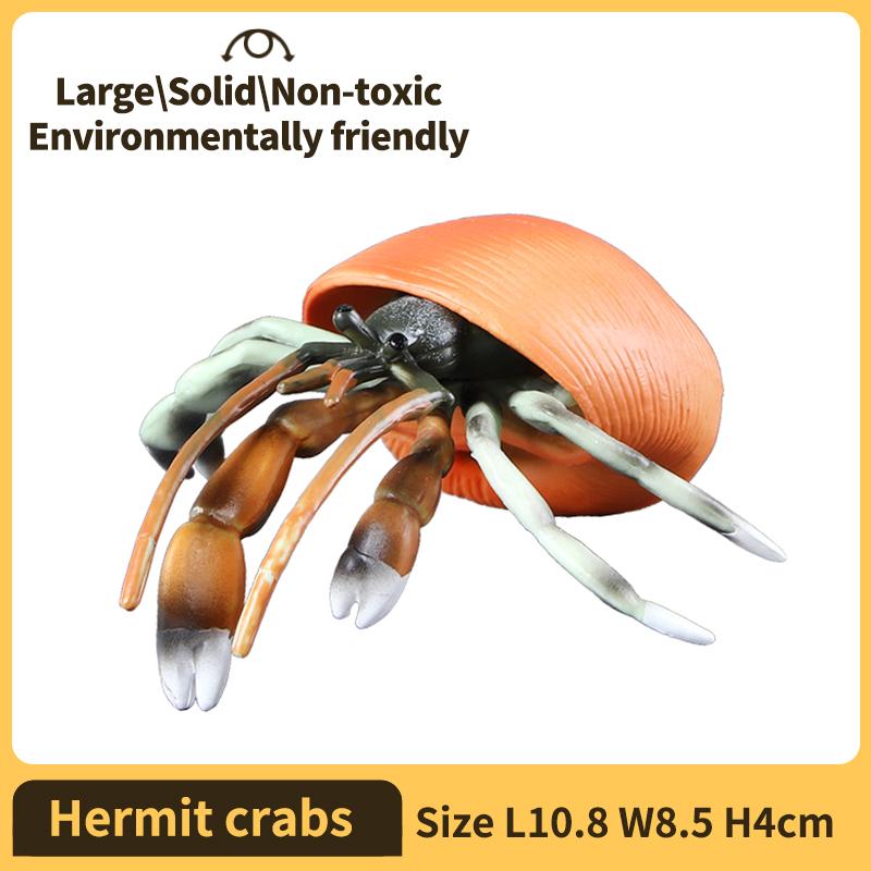 Hermit Crab Figurine Sea Life Animals Model Figure Educational Toy Boys Girls Kids Ages 18M for and Kid Friendly Entertaining Fun Play Safe