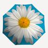 1pc Daisy Flower Folding Umbrella | Elegant Design, Fashionable Accessory, Durable Construction, Sturdy Ribs yy251107090