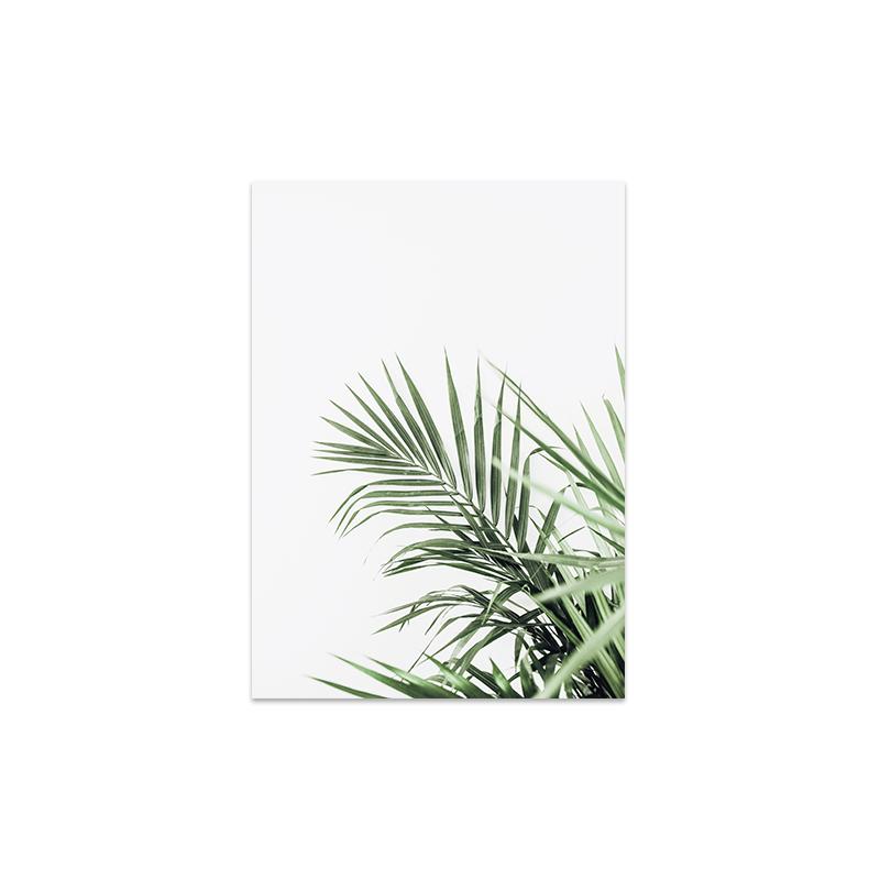 

Белый тюльпан, зеленая орхидея, алоэ, монстера, растение, холст, живопись, плакаты на скандинавскую тему и принты, настенные панно для декора гостиной 40x50cm No Frame
