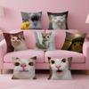 Funny Cat MMeme Personalized Pillow Cover Kids Bedroom Wild Party Decor Pillowcase Kid Birthday Shower Gift