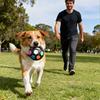 New Pet Soccer Toys Chewing and Squeaking Sounds Interactive Play Large Dogs Companion Toys Outdoor Training Pet Supplies