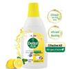 Dettol Women's Day Fresh Scent Wash & Care Set