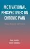 Kniha Motivational Perspectives On Chronic Pain
