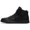 SB Zoom Dunk High Pro BOTA