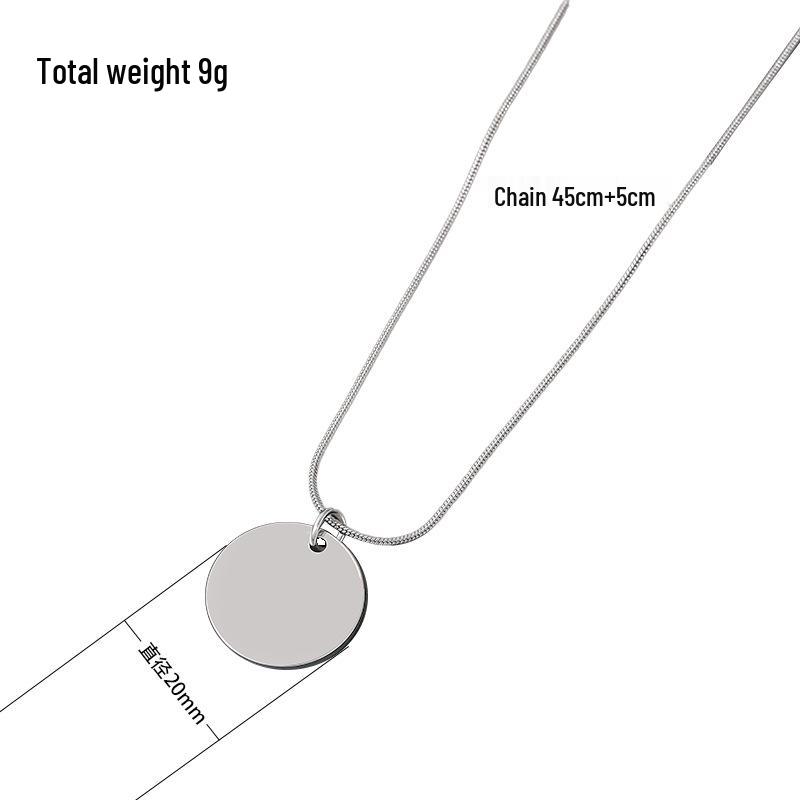 Stainless Steel Snake Bone Chain Necklace - Minimalist European and American Design, Perfect for Festivals or as a Gift