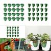 20 Pcs Strawberry Propagation Seedling Pots, Multipurpose for Transplanting, , Accessories, Side