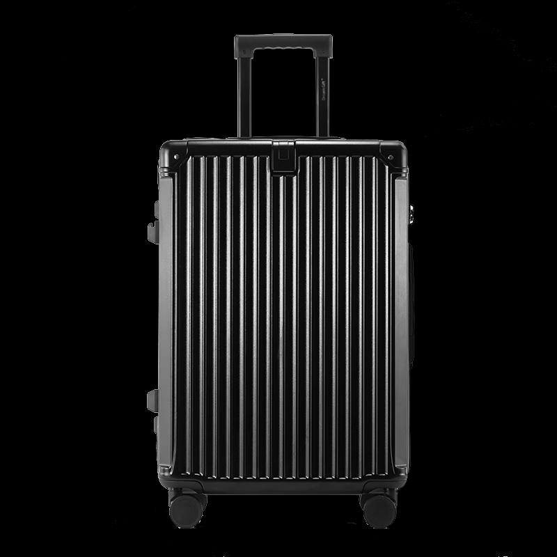 DREAMGIFT Fashion Travel Luggage 20-inch