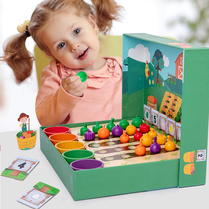 Wooden Fruit Vegetable Farm Color Recognition Educational Toy For Kids Preschool Learning