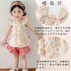 Reegoo Peter Baby Shirt and Pants with Ruffle Summer Ages Girls' 2-Piece Set, Sleeves, Clothes, 100% Cotton, Pink, 2-3