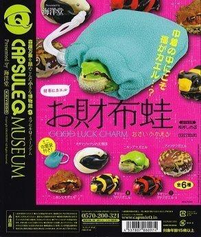 Capsule Q Museum Geldbörse Frosch Geldbörse Frosch Japanischer Baum [1. Frosch] (Einzelexemplar)