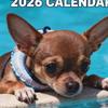 2026 Animal Wall Calendar Dog-Themed January To December Family Planner 2026 Wall Planner for Home Bedroom School Work Apartment