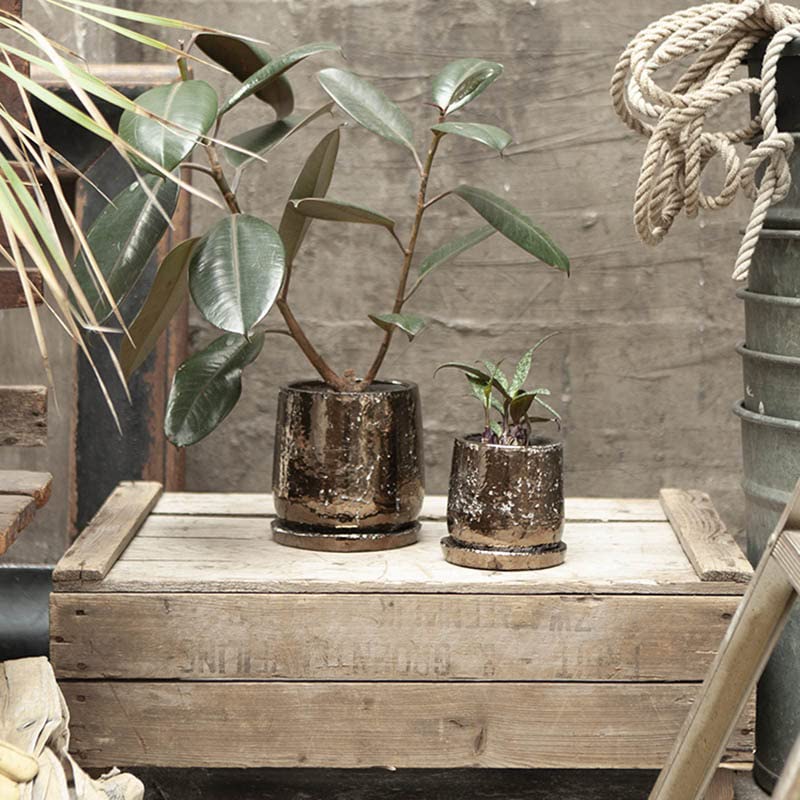 Dulton Round Pot Bronze M Garden Pot G20-0196M/BZ
