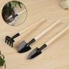 3-Piece Mini Gardening Tool Set Iron Steel Hand Trowel Transplant Spade Rake Suitable for Succulent Bonsai Indoor Plants Miniature Landscape Creation