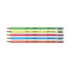 Doms Neon Rubber Tipped HB/2 Graphite Pencil Jar Pack of 30 with Sharpener, Eraser & Scale for Students and Artists