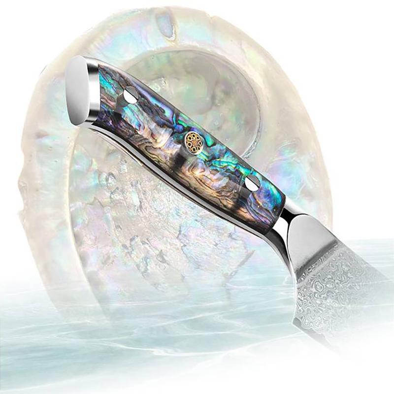 6.9 Inch Santoku Knife Abalone Shell Handle 67-layers Damascus Steel Blade Chef Cleaver Meat Slicing Vegetables Kitchen Knives