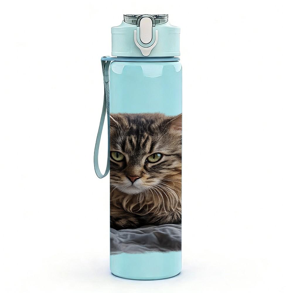 1PC Tabby Cat Sleep Cozy Scene Print 750ml Color Plastic Sports Water Bottle Leakproof Flip Straw Lid Suitable for Sports Office Home Use