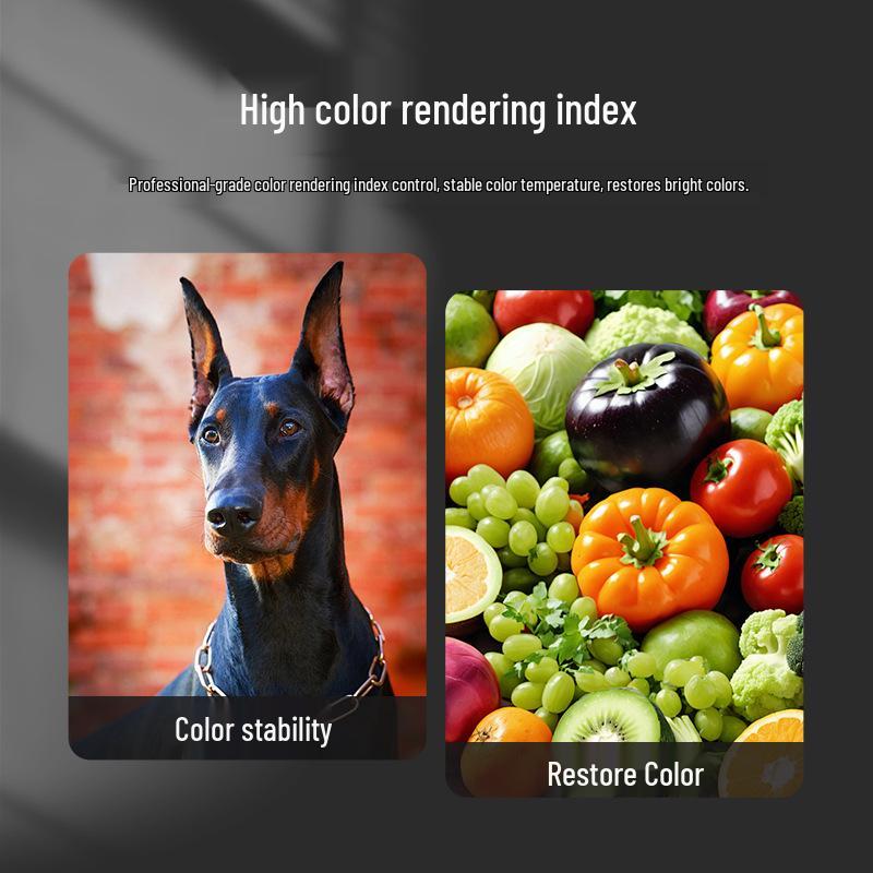 High-Power Dual-Color Temperature Soft Light - Ideal for Live Broadcasts and Beauty Photography