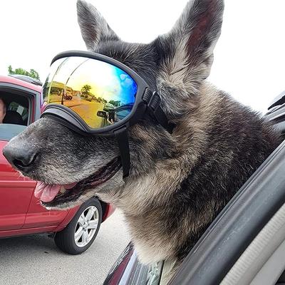 Hunde-Sonnenbrille Anti-UV Sonnenbrille Augenschutz Verstellbar Winddicht Haustier Hund Zubehör Für Reisen