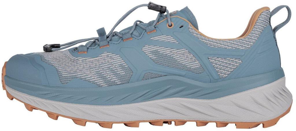 Hiking Shoes Lowa Fortux GTX