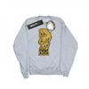 Scooby Doo Womens/Ladies And Shaggy Sweatshirt