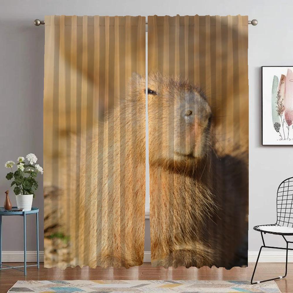 Kitchen Curtains for Living Room Curtain for Room 2 Panel Capybara Shades Halloween Decoration Partition Home Interior Curtains