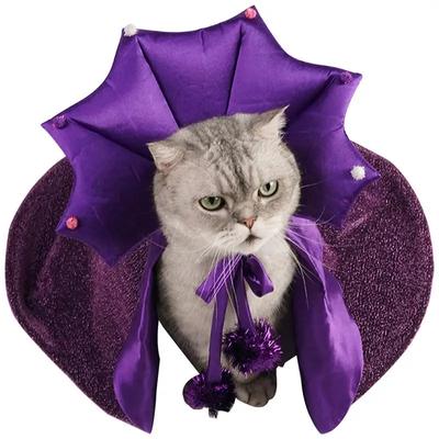 Costume d'Halloween pour chat Tenue de sorcier confortable pour chat Costume de sorcière pour chien Cape pour chat Chapeau de sorcière Vêtement d'Halloween pour chien Pour chats/chiens S/M