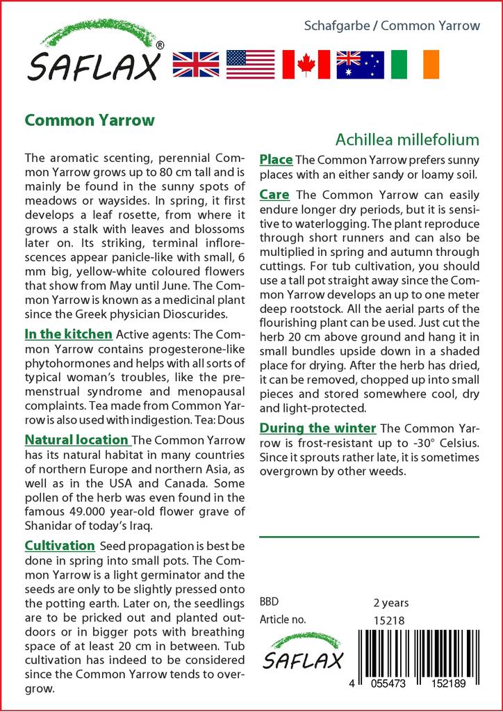 SAFLAX Zahrada v pytli - Řebříček obecný - 200 semen - Se substrátem v padnoucím sáčku - Achillea millefolium