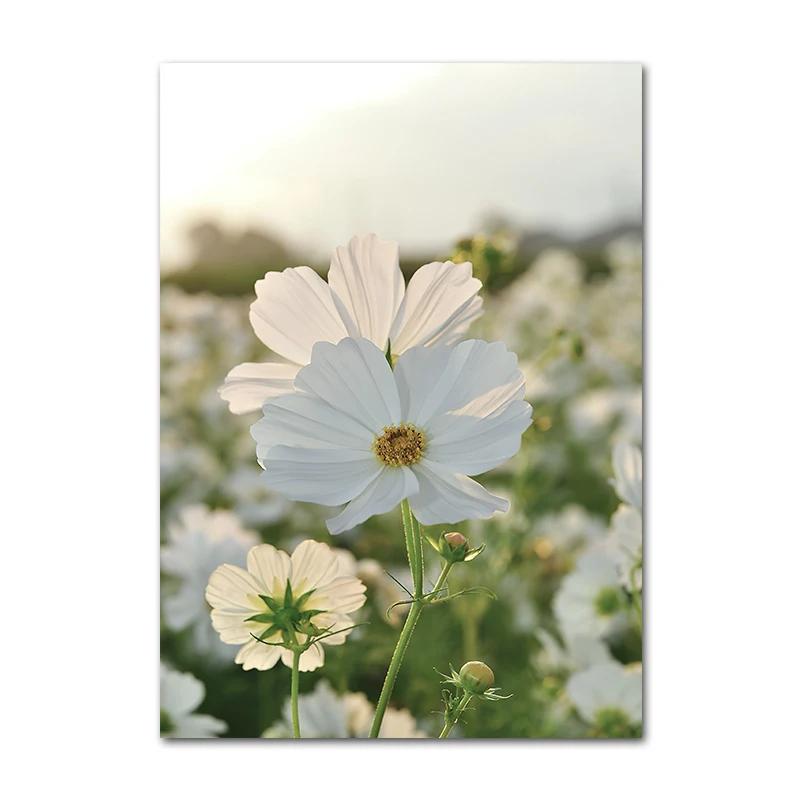 

Богемные принты и постеры лимонно-белый желтый цветок природа скандинавская картина на холсте настенная картина украшение для дома для гостиной 21x30cm No Framed