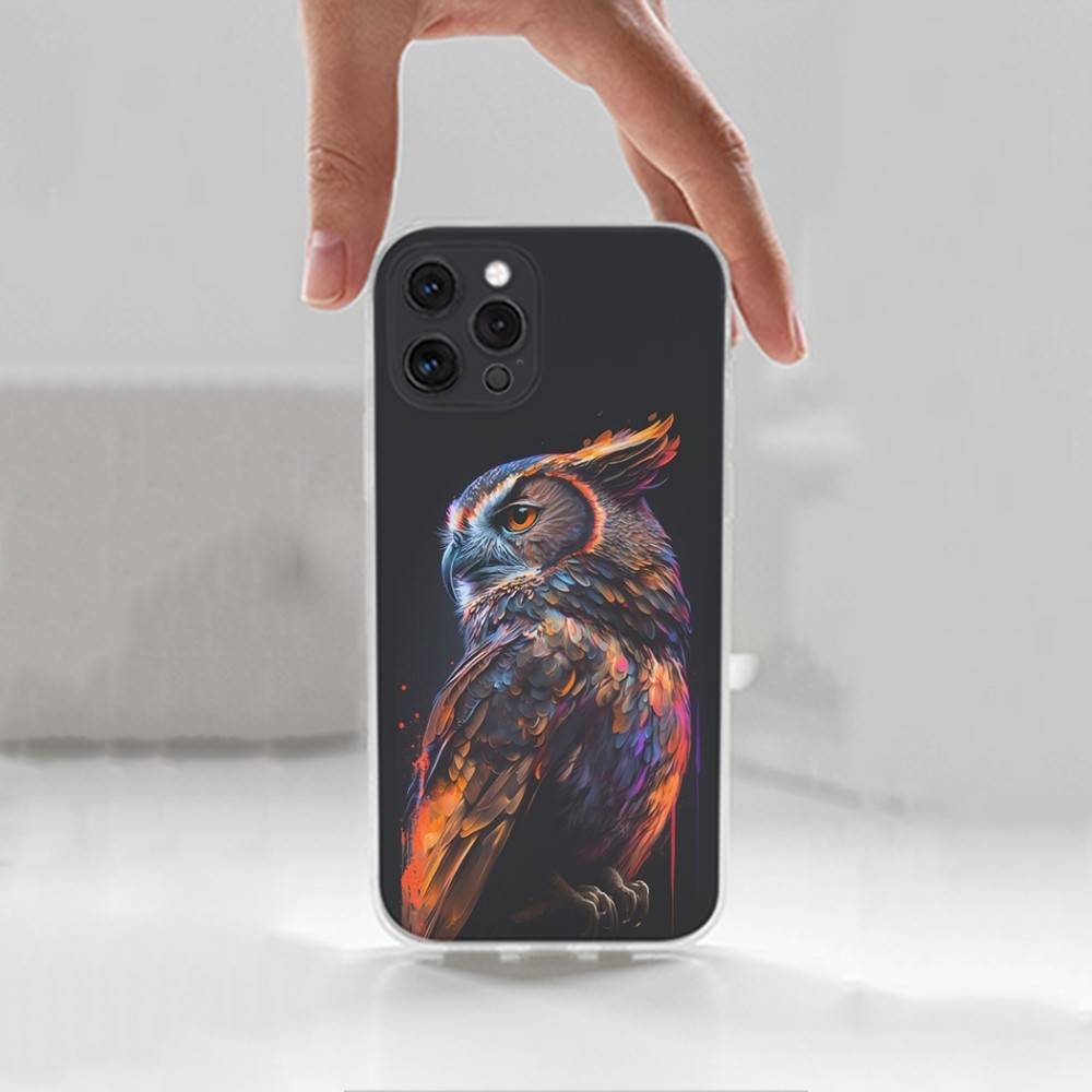 Cute C-Colorful Owl B-Bird Case For iPhone X,XS,SE,12,15,Pro,17,Plus,11,Max,13,XR,14,16,Mini,Transparent Soft Cover