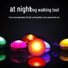 Glow-in-the-Dark Flashing Pet Tag and Leash Charm