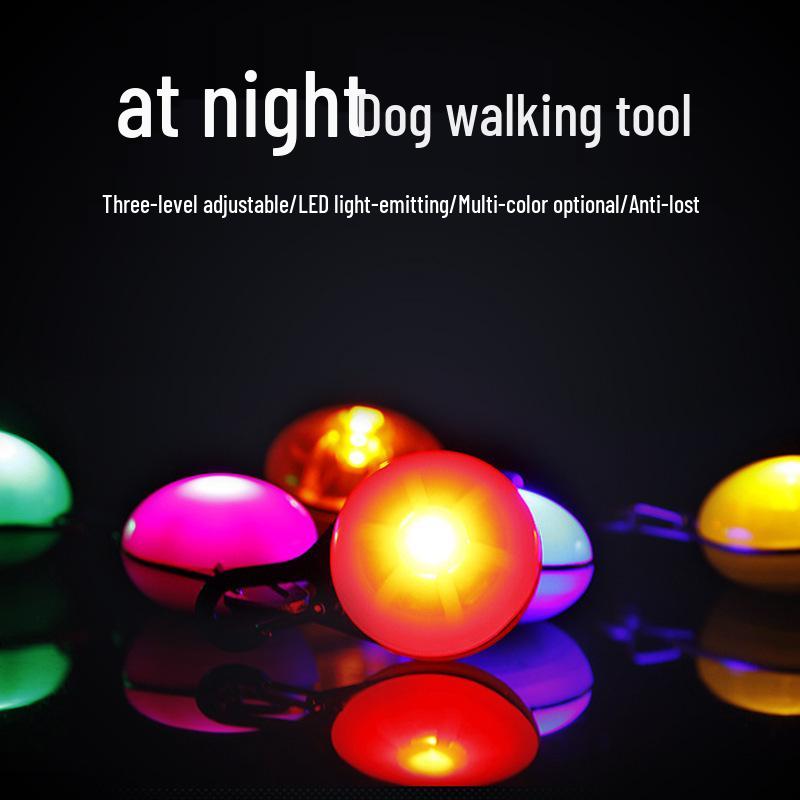 Glow-in-the-Dark Flashing Pet Tag and Leash Charm