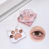 Lidschatten-Palette mit Katzenpfotenmotiv, 5 Farben, schimmernd, matt, natürlich, Nude, langlebig, wasserfest, hochpigmentiert, Lidschatten für Frauen, Augen-Make-up-Zubehör