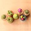 Mini Resin Cactus Plants Miniature Artificial Greenery Potted Cactus Figurine for Cake Topper DIY Micro Landscape Home Fairy Garden Plant Pots Bonsai